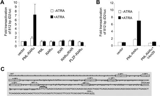 Figure 5. The ID2 promoter is transactivated by PML-RARα but not by RARα/RXR. (A) Cells were transiently transfected with a 812-bp ID2-luciferase reporter construct (ID2-luc). Transfections and controls were as described in Figure 2. Background luminescence of the cells transfected with only a reporter construct (no nuclear receptor and no ATRA) was set at 1. Transactivation was measured after treatment without (□) and with (■) 10−6 M ATRA. Mean values from at least 3 independent experiments plus or minus SD are shown. (B) Dominant-negative NF-Y (Yam29) inhibits the transactivation of the ID2 promoter construct by PML-RARα. Transfections were done as described in Figure 2; mean values of 3 independent experiments plus or minus SD are shown. (C) Promoter region of the ID2 gene with putative Sp1- and NF-Y–binding sites.