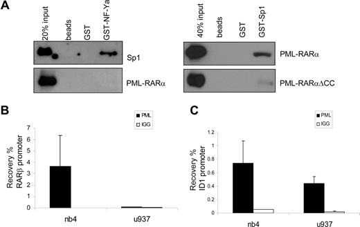 Figure 6. PML-RARα binds Sp1 and binds to the endogenous ID1 promoter. (A) To test binding of PML-RARα to Sp1 and NF-Y, GST pull-down experiments were performed. Empty beads and beads loaded with GST or GST-NF-YA (left panels) were incubated with in vitro–translated Sp1 (positive control) or in vitro–translated PML-RARα. GST-Sp1 (right panels) was incubated with in vitro–translated PML-RARα or PML-RARαΔCC. Beads were washed and subsequently resuspended in loading buffer. Protein was resolved on SDS-PAGE. Immunostaining was performed with anti-Sp1 or anti-RARα antibody. Clear interactions between NF-YA and Sp1 and between PML-RARα and Sp1 were observed. To show binding of PML-RARα to the endogenous RARβ (B) and ID1 (C) genes, ChIP assays were performed in PML-RARα–positive NB4 cells and in PML-RARα–negative U937 cells. Cells were treated with ATRA for 30 minutes. ChIP was done with anti-PML antiserum. As a control, the nonspecific IgG fraction from human serum was used. The Y-axis shows the recovery (%) of ID1 or RARβ sequences relative to the input. Mean values plus or minus SD of 4 independent experiments are shown.