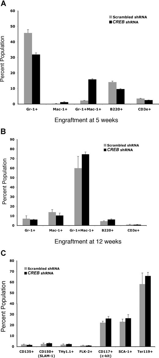 Figure 4. CREB is critical for myelopoiesis in vivo. Bone marrow from CD45.1 mice transplanted into CD45.2 mice were analyzed with lineage-specific and hematopoietic stem-cell markers using FACS analysis at 5 and 12 weeks after transplantation. (A) Myeloid engraftment as measured by staining of bone marrow cells from transplant-recipient mice at 5 weeks. (B) Myeloid engraftment as measured by FACs staining of bone marrow cells at 12 weeks. At least 5 mice in each group were analyzed. Experiments were performed in triplicate and repeated twice. Error bars represent SE.