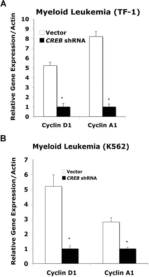 Figure 7. Expression of cyclins A and D in leukemia cells. TF-1 (A) or K562 (B) myeloid leukemia cells were transduced with control and CREB shRNA lentivirus and synchronized. At 12 hours, 5 μg of total RNA was isolated for q-PCR by SyberGreen method. Cyclin A1- and D1-specific primers were used, and expression was normalized to the house keeping gene β-actin. Experiments were performed in triplicate. Error bars represent SE.