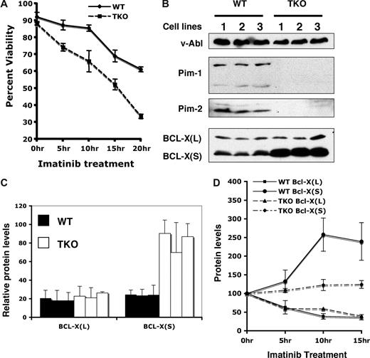 Figure 5. Pim deficiency sensitizes v-Abl–transformed cells to undergo apoptosis. (A) v-Abl–transformed wild-type (WT) or Pim-1−/−/Pim-2−/−/Pim-3−/− (TKO) cells were treated with imatinib at indicated times. Apoptosis and cell survival were analyzed by the propidium iodide/Annexin V binding and measured by flow cytometry. Plotted are the results from 3 independent experiments. (B) v-Abl–transformed wild-type or TKO cell lines were analyzed by Western blotting with indicated antibodies. (C) Blots in panel B were quantitated as in Figure 4. Plotted are the average levels of Bcl-XL and Bcl-XS from 3 independent experiments. (D) v-Abl–transformed wild-type or TKO cells were treated with imatinib in a time course. Lysates from these cells were analyzed by immunoblotting. Blots were then quantitated as described above. The average levels of Bcl-XL and Bcl-XS from 3 independent experiments are plotted such that the protein level at 0 hour time point is 100%. Error bars represent SD.