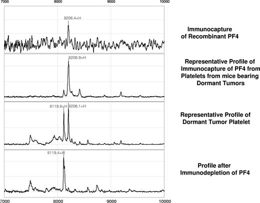 Figure 3. Confirmation of the PF-4 identity by immunocapture and immunodepletion. For immunocapture experiments, anti–PF-4 antibody was immobilized on a preactivated ProteinChip array, followed by incubation with platelet extracts derived from mice bearing the dormant clone of liposarcoma. Comparison of a profile generated by the recombinant PF-4 (first panel) with that generated by platelet lysates of dormant liposarcoma-bearing mice reveals an identical molecular weight and isoelectric point of the protein in question (second panel). Immunodepletion of the PF-4 protein is confirmed by the absence of its respective peak from the mobile phase (fourth panel).
