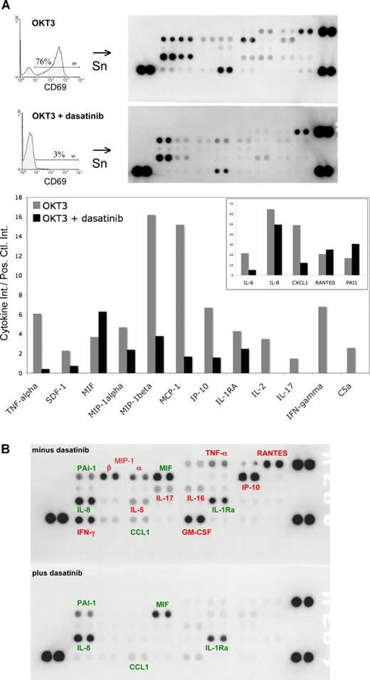 Figure 4. Proinflammatory cytokine production is inhibited by dasatinib. (A) PBMCs were stimulated with OKT3 (100 ng/mL) in the presence or absence of dasatinib (10 nM). After 24 hours, supernatants (Sn) were collected and T cells were analyzed for CD69 expression, as in Figure 3. Cytokines in the supernatants were detected by capture antibodies spotted in duplicate on nitrocellulose membranes (R&D Systems). Chemiluminescence signal was detected with a FluorChem SP CCD camera and intensity was quantitated using Quantity One 1-D Analysis Software (Bio-Rad, Hercules, CA). The high-intensity spots in the 3 corners are positive controls; the top left corners contain the negative controls. A graph of the relative intensity (compared with average of positive controls) is shown for selected cytokines. The inset graph is the same data, but on a larger scale for cytokines with higher expression levels. (B) PBTs were stimulated with 10 ng/mL OKT3 in the presence or absence of 10 nM dasatinib for 48 hours. Supernatants were collected for cytokine analysis as in Figure 4A, selected cytokines are labeled: red, cytokines that decreased by greater than 2-fold in the presence of dasatinib; green, cytokines that decreased by less than 2-fold or did not change in the presence of dasatinib.