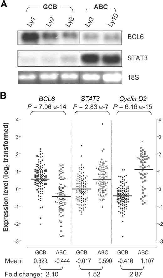 Figure 2. STAT3 mRNA is highly expressed in ABC-DLBCL compared with GCB-DLBCL. (A) Northern blot analysis of BCL6 and STAT3 in DLBCL cell lines. The 28S indicates 28S ribosomal RNA used as loading control. Vertical lines have been inserted to indicate a repositioned gel lane. (B) BCL6, STAT3, and cyclin D2 expression patterns based on previously published DLBCL gene expression data.3 The signal values for BCL6 (probe 24429), STAT3 (probe 31469), and cyclin D2 (probe 16858) were retrieved for 72 ABC-DLBCL and 114 GCB-DLBCL samples. The data had been previously log2 transformed and median centered for each gene across the entire sample set. The P values are based on Wilcoxon-Mann-Whitney nonparametric test performed to compare the values between the 2 subgroups. Bars indicate the group means for each column. Mean, group mean of the log2-transformed values; Fold change, linear fold difference between the group means.