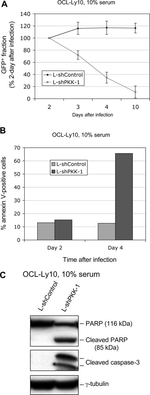 Figure 3. Suppression of PKK expression results in cell death of OCI-Ly10 cells. (A) OCI-Ly10 cells were infected with lentiviruses expressing either L-shControl or L-shPKK-1. At the indicated times after infection, the GFP-positive fractions were analyzed by flow cytometry. The GFP-positive fractions were normalized to the samples harvested at 2 days after infection. Means and SDs from 3 separate experiments are depicted. (B) OCI-Ly10 cells were infected as described in panel A, and the cell death was analyzed at 2 and 4 days after infection, respectively, using the annexinV-PE apoptosis detection kit (BD Bioscience). Shown are average results from 2 separate experiments. (C) OCI-Ly10 cells were infected as described in panel A. Three days after infection, expression of the indicated proteins was analyzed on Western blots.