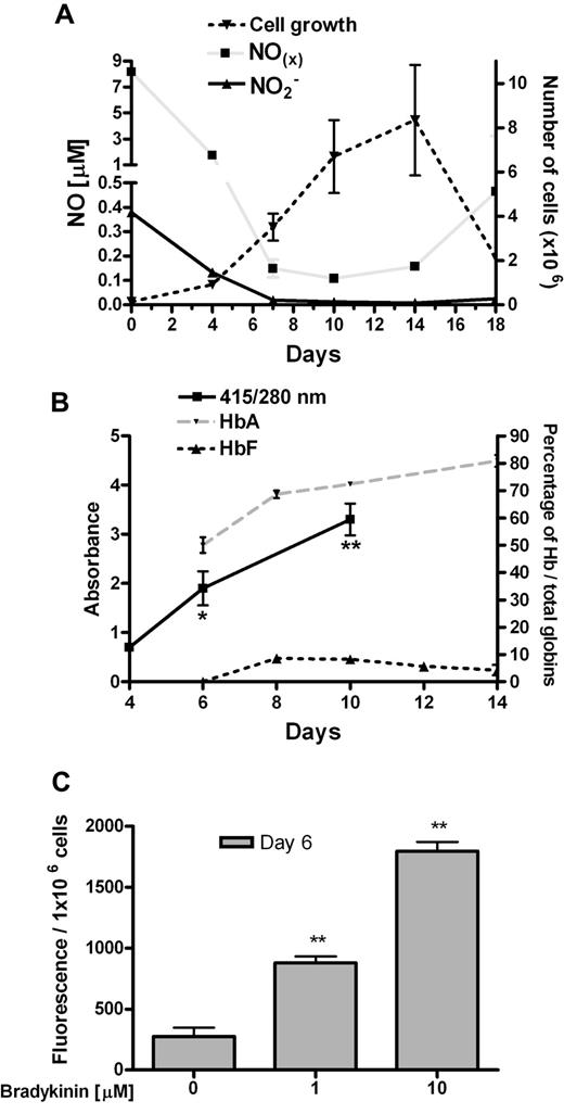 Figure 1. Characterization of 2-phase liquid culture of erythroid cells. (A) NO production during erythroid differentiation (per 1 × 106 cells; n = 3). (B) Total globins per total protein levels during erythroid differentiation of CD34+ cells. The heme group of globins gives a maximum absorbance at 415 nm, while 280 nm is the maximum absorbance for most proteins (because of tryptophan, tyrosine, and phenylalanine; n = 3). HPLC analyses of HbA and HbF during erythroid differentiation (n = 4). (C) Detection of extracellular NO levels with fluorescent indicator DAF-2 in erythroid progenitor cells at day 6, during treatment with bradykinin (n = 3). Values are means (± SEM). *P < .05 and **P < .01 compared with cells at day 4 (B) and untreated with bradykinin (C).