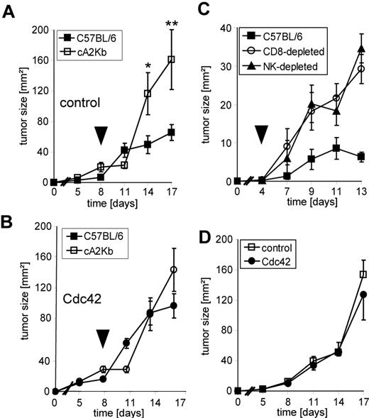 Figure 3. Cdc42 confers resistance against CTL- and NK cell–mediated tumor suppression in vivo. (A) Growth of cA2Kb-control fibrosarcomas in NOD/SCID mice. The arrowhead indicates the time point of adoptive transfer of allogeneic C57BL/6-derived (■) or syngeneic HLA-A*0201–transgenic cA2Kb splenocytes (□). (B) Growth of cA2Kb-Cdc42 fibrosarcomas in NOD/SCID mice. The arrowhead indicates the time point of adoptive transfer of allogeneic C57BL/6-derived (●) or syngeneic HLA-A*0201–transgenic cA2Kb splenocytes (○). (C) Growth of cA2Kb-control fibrosarcomas in NOD/SCID mice. The arrowhead indicates the time point of adoptive transfer of allogeneic C57BL/6-derived (■), CD8-depleted (○), or NK cell–depleted (▲) splenocytes. The growth curves following undepleted and depleted splenocyte transfer differed significantly (P < .001; ANOVA). (D) Spontaneous growth of cA2Kb-control (□) and cA2Kb-Cdc42 (●) fibrosarcomas in NOD/SCID mice. Mean values plus or minus SE of bidimensional tumor sizes of 5 mice per group are shown for each experiment (*P < .001; **P = .025, Student t test).