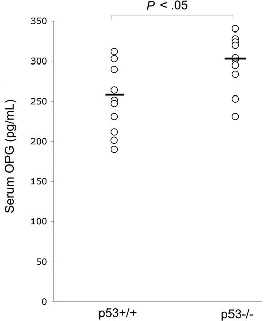 Figure 1. p53 knock-out up-regulates serum OPG levels. Serum OPG was measured in 8-week-old p53−/− (n = 10) and p53+/+ (n = 10) mice. OPG level of each mouse is plotted in a scatter diagram; horizontal bars are medians.