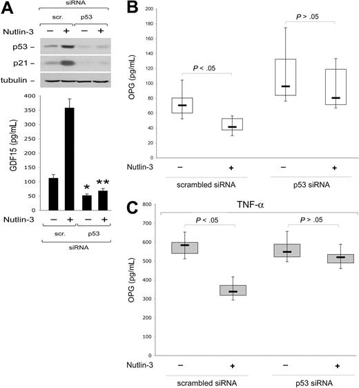 Figure 5. Nutlin-3 down-modulates OPG release in a p53-dependent manner. HUVECs were transfected with control scrambled siRNA or p53 siRNA before treatment with Nultin-3 (10 μM) or TNF-α in the absence and presence of Nultin-3, as indicated. (A) Levels of p53 and p21 proteins were assessed by Western blot analysis of cell lysates; tubulin staining is shown as loading control. Representative examples of Western blot results of 3 to 5 independent experiments are shown. In parallel, activation of GDF15 p53 target gene was assessed by ELISA on supernatants from cell cultures (40 000 cells/mL). Data are mean plus or minus SD of the results from 3 to 5 independent experiments each performed in duplicate (*P < .05, compared with scrambled-transfected and left untreated; **P < .05, compared with scrambled-transfected and treated with Nutlin-3). OPG release in supernatants of the transfected cultures was assessed by ELISA. Results were obtained from 3 (C) or 7 (B) independent experiments, each performed in duplicate. Horizontal bars represent median, upper, and lower edges of box (75th and 25th percentiles); lines extending from box, 10th and 90th percentiles.