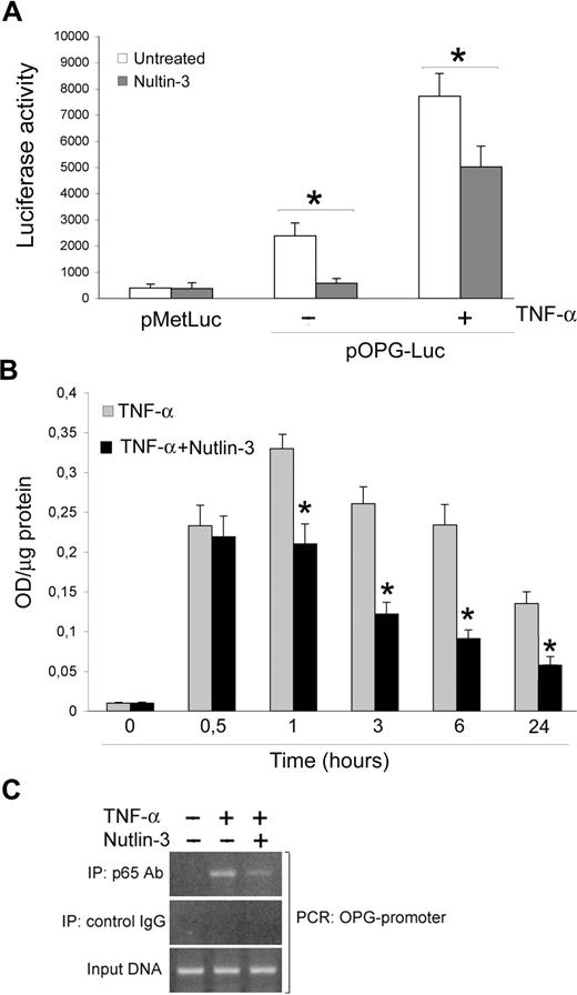 Figure 6. Nutlin-3 inhibits TNF-α–induced NF-κB recruitment to the OPG promoter. (A) HUVECs were transfected with pOPG-Luc or empty pMetLuc-Reporter vector. After recovery, cells were stimulated as indicated, and after 18 hours luciferase activity was assessed. Results, expressed as RLU, represent mean plus or minus SD of 3 independent experiments (*P < .05). (B) HUVECs were either left untreated or stimulated with TNF-α in the absence and presence of Nutlin-3. NF-κB–p65 DNA binding activity was determined at the indicated time points as absorbance values per microgram of cell lysate protein. Results are mean plus or minus SD of 3 independent experiments performed in duplicates (*P < .05, compared with TNF-α). (C) Cells were stimulated with TNF-α in the absence and presence of Nutlin-3. ChIP analysis was performed using anti-p65 or control IgG antibodies for immunoprecipitation followed by OPG promoter-specific PCR with primers flanking the consensus κB sites. The PCR products were subjected to electrophoresis on 2% agarose gel. These results are representative of 3 independent experiments.