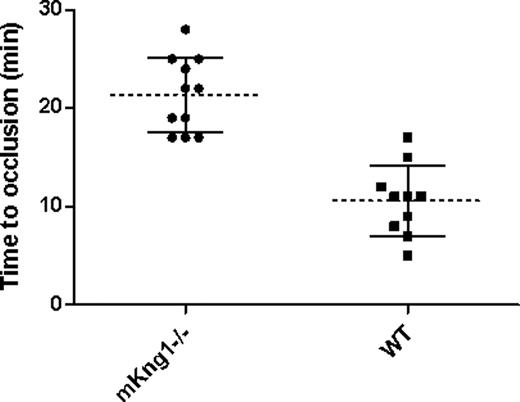 Figure 7. Time to arterial occlusion in mKng1−/− mice and wild-type littermate controls. Time to occlusion of the carotid artery following Rose-Bengal and laser induced arterial injury was measured as described in “Methods.” mKng1−/− mice displayed significantly longer arterial occlusion times. Dotted lines represent mean values, and error bars represent plus or minus 2 standard deviations from the means.