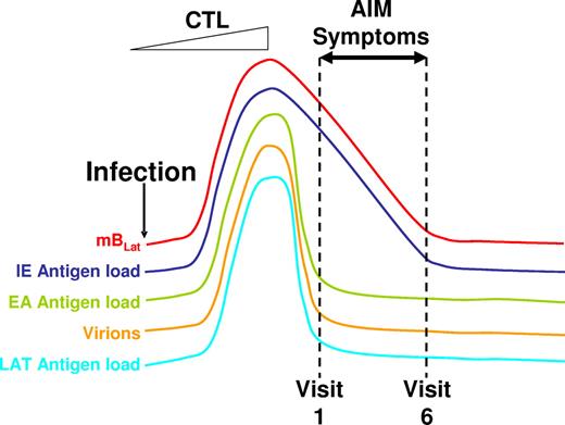 Figure 7. Schematic drawing of the proposed model for the course of acute EBV infection leading to AIM. Acute EBV infection leads to ever-increasing rounds of production of mBLat reactivation and infection of new B cells resulting in high levels of mBLats and virus shedding. This stimulates strong CTL responses that drastically reduce this one-way circuit, leaving high levels of mBLats that simply decay through apoptosis according to the normal half-life of a memory B cells. Apoptosis triggers viral reactivation leading to the production of cells expressing viral IE proteins that are rapidly destroyed by CTLIEs. Hence the levels of CTLIEs fall in parallel with those of the mBLats. We hypothesize that this massive cell death causes the symptoms of AIM, leading patients to enter the clinic at a time when the levels of mBLats and CTLIEs are rapidly falling but levels of CTLs against other viral target (EA and LAT) and saliva shedding are already leveling off toward the levels found in persistent infection (dashed lines indicating the first 6 weekly visits to the clinic in our study).