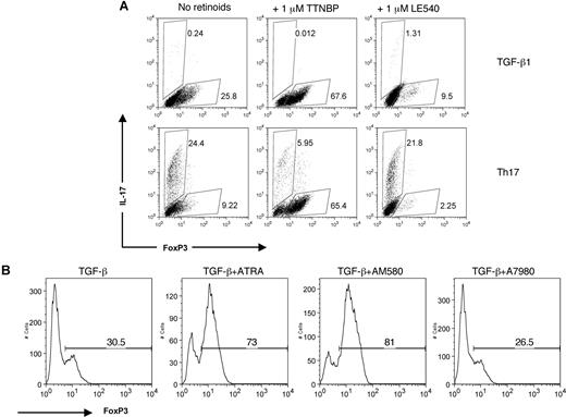 Figure 4. RARα is necessary for TGF-β1 induction of FoxP3. (A) Naive CD4+ cells were polyclonally stimulated for 3 days under Th17 conditions or TGF-β1 alone for 3 days with TTNBP (pan-RAR agonist) or LE540 (pan-RAR antagonist). IL-17 and FoxP3 expression were measured on fixed cells by intracellular staining. Numbers on plots are percentages of total cells. (B) Naive CD4+ T cells were polyclonally stimulated for 3 days with TGF-β1 and 1 μM ATRA, 1 μM A7980 (selective RARγ agonist), or 1 μM AM580 (selective RARα agonist). FoxP3 expression was measured on fixed cells by intracellular staining. Data are representative of 2 independent experiments. Numbers on graphs are percentages of cells that are FoxP3.+