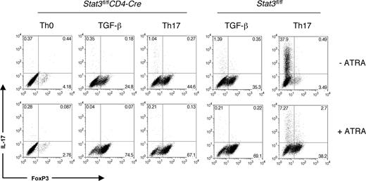 Figure 5. ATRA enhances FoxP3 expression independent of Stat3. Peripheral CD4+ cells from Stat3fl/flCD4-Cre mice or WT controls were polyclonally stimulated for 3 days under Th-neutral conditions, Th17 conditions, or with TGF-β1 alone in the presence or absence of 1 μM ATRA. IL-17 and FoxP3 expression was measured on fixed cells by intracellular staining. Data are representative of 2 independent experiments. Numbers on plots are percentages of total cells.