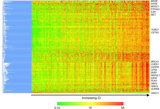 Figure 3. Differences in molecular profiles of tumors with high and low CI identify possible therapeutic targets. Four hundred thirty-four differentially expressed genes were clustered using the hierarchical agglomerative algorithm. Pearson correlation coefficient and centroid linkage were used as similarity and linkage methods, respectively. The samples are ordered from left to right by increasing CI. The expression of almost all these differentially expressed genes increases with increasing CI. Genes of interest are highlighted.