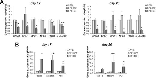 Figure 5. Effects of Ik6 overexpression on gene expression during erythroid differentiation. RT-PCR was performed using total RNA extracted from cultured cells derived from CB CD34+ cells. Gene expression was normalized with GAPDH expression. (A) Relative expression of erythroid genes (GATA1, EKLF, EPOR, NFE2, FOG1, and and α-globin) on days 17 and 20 between untransduced (CTRL) erythroid cells (as reference) and transduced cells. Expression of these genes was reduced in EF1 IK6 erythroid cells. The unchanged results on days 10 and 13 are not shown. (B) Relative expression of myeloid genes (PU1, M-CSFR, and CD13) on days 17 and 20 between untransduced (CTRL) cells (as reference) and transduced cells. Expression of these genes was increased in EF1 IK6 erythroid cells. The unchanged results on day 10 are not shown, and the results on day 13 were similar to that of day 17. Data are mean values (± SEM) for 4 to 7 experiments. *P < .05 using the Wilcoxon test when comparing with CTRL and EF1 GFP conditions; n.s. indicates not significant.