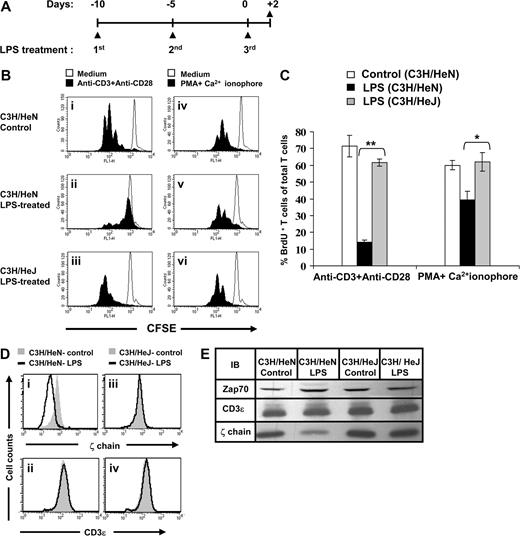 Figure 1. Chronic exposure to LPS leads to T-cell dysfunction associated with abnormal ζ-chain expression in mice with a functional TLR4. (A) Mice were treated 3 times with MLVs encapsulated with LPS as described in “Antigen, TLRLs, and immunization.” The mice were killed 2 days after the last treatment. (B) Splenocytes from control C3H/HeN (I,IV), LPS-treated C3H/HeN (II,V), and C3H/HeJ (III,VI) mice were labeled with CFSE and then activated ex vivo with anti-CD3 and anti-CD28 antibodies or with PMA and Ca2+ ionophore as described in “6-Carboxyfluorescein succinimidyl ester staining and ex vivo proliferation assay” (black histograms) or left untreated (white histograms). The proliferative response was assessed by monitoring cell divisions of gated CFSE-labeled Thy1.2+ T cells. (C) Splenocytes from control and LPS-treated mice were activated for 48 hours and specific T cell proliferation was measured by BrdU incorporation in Thy-1.2+ cells using FACS. The results are presented as the mean value of 3 independent experiments, and standard deviations are shown. *P < .02; **P < .001 (Student t test). (D) Splenic Thy1.2+ T cells from LPS-treated (black line) and control (gray area) C3H/HeN mice (I,II) or C3H/HeJ mice (III,IV) were analyzed for total ζ (I,III) and CD3ε (II,IV) expression levels by FACS. (E) Equal numbers of splenic T cells from LPS-treated and control mice were lysed and subjected to Western blot analysis. Expression of the protein tyrosine kinase ZAP-70, CD3ε and ζ-chain was assessed by immunoblotting (IB) using specific antibodies. A representative experiment is shown of 5 performed.