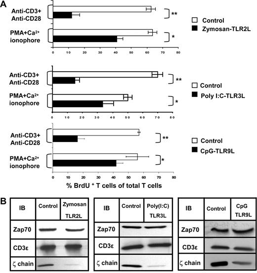 Figure 3. Treatment with TLR 2, 3, or 9 ligands induces impaired T-cell proliferation and ζ-chain down-regulation. Mice were injected subcutaneously 3 times with MLVs and encapsulated with one of the following TLRLs: Zymosan (TLR 2), poly (I:C) (TLR 3), or CpG (TLR 9), as described in “Antigen, TLRLs, and immunization.” (A) Proliferative response as determined by the percentage of BrdU+Thy1.2+ of total Thy1.2+ cells isolated from control mice (□) relative to TLRL-treated mice (■) after stimulation with anti-CD3 and anti-CD28 antibodies or with PMA and Ca2+ ionophore. The results are presented as the mean values of 3 independent experiments, and standard deviations are shown. *P < .005 (Student t test). (B) Equal numbers of splenic T cells from Zymosan, poly (I:C), and CpG-treated and control mice were lysed and subjected to Western blot analysis. Expression of the protein kinase ZAP-70, CD3ε, and ζ-chain was assessed by immunoblotting (IB) using specific antibodies.