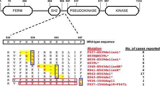 Figure 1. Schematic representation of the JAK2 gene with the wild-type sequence of amino acids encoded by exon 12, and the exon 12 mutations detected so far. Regions of rearrangement are highlighted in yellow, while mutations are shown in red; the red rectangles indicate the duplicated sequences. All mutations so far identified in patients with PV or idiopathic erythrocytosis are illustrated: those previously reported12–17 are marked with an asterisk. Blue rectangles indicate the 3 types of mutations: (i) those involving a K539L substitution; (ii) those involving a deletion of glutamic acid 543 (E543del); (iii) and duplications involving a substitution of phenylalanine 547. On the right, for each mutation the number of cases reported so far is indicated. Information on JAK2 domains is from URL: http://smart.embl-heidelberg.de.