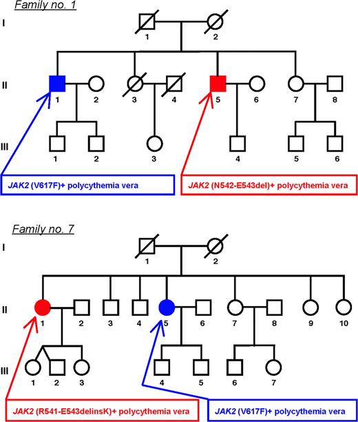 Figure 2. Pedigrees of 2 families with myeloproliferative disorders characterized by intra-family discordance of JAK2 mutation type. Each family member is identified by a pedigree number. Circles represent female family members; squares male family members; filled symbols members with phenotypically expressed myeloproliferative disorder; slashes members who had died. In family 1, 2 brothers (II-1 and II-5) had PV. Subject II-1 presented at the age of 57 with ischemic stroke, and at the age of 63 he was diagnosed with PV (erythrocytosis and thrombocytosis). This patient was later found to be JAK2 (V617F)-positive, and his granulocyte mutant alleles increased from 6% to 20% over time. He died at the age 69 of pulmonary embolism despite low-dose aspirin and cytoreductive treatment. His brother (subject II-5) was found to have erythrocytosis on routine blood counts at the age of 58; a diagnosis of PV was made, and venesection therapy was started. He was found to carry the N542-E543del mutation in circulating granulocytes. In family 7, 2 sisters (II-1 and II-5) had PV. Subject II-5 presented at the age of 59 with erythrocytosis and thrombocytosis. When she was admitted to the Department of Hematology, Pavia, Italy, at the age of 78, she was found to have post-PV myelofibrosis: she had splenomegaly (below the umbilical line), elevated circulating CD34+ cell count (244 × 106/L), and 91% granulocyte JAK2 (V617F) mutant alleles. Her sister (subject II-1) presented at the age of 53 with erythrocytosis, was diagnosed with PV, and started venesection therapy. She was found to carry the R541-E543delinsK mutation in circulating granulocytes.