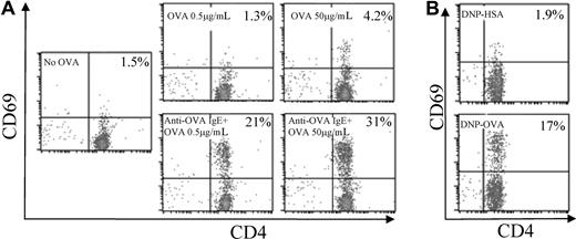 Figure 2. Antigen-incorporated BMMCs activate antigen-specific CD4+ T cells. (A) Anti-OVA IgE pretreated (bottom) or untreated (top) BMMCs were incubated for 48 hours with low-dose (0.5 μg/mL; middle) or high-dose (50 μg/mL; right) OVA. BMMCs that received no OVA were used as a control (left). (B) Anti-DNP IgE pretreated BMMCs were incubated for 48 hours with DNP-HSA (50 μg/mL; top) or DNP-OVA (50 μg/mL; bottom). The BMMCs were washed and cocultured with MACS-purified CD4+ T cells from OT-II mice. Forty-eight hours later, CD69 was detected on CD4+ T cells by flow cytometry. The number in the upper right corner represents the percentage of CD69+CD4+ T cells of total CD4+ T cells.