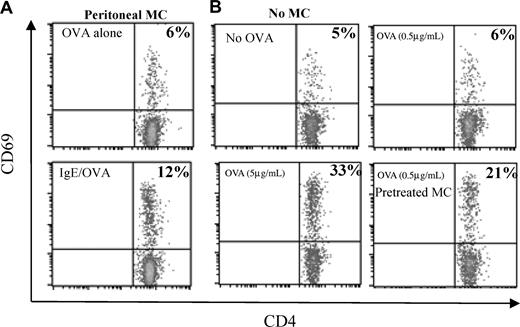 Figure 4. OVA-incorporated BMMCs and peritoneal mast cells are a potent source of antigen for presentation to T cells. (A) Peritoneal mast cells from MHC class II−/− mice were pretreated with (bottom) or without (top) anti-OVA IgE, washed, and incubated with OVA (50 μg/mL) for 2 days. The peritoneal mast cells were then washed and cocultured with OT-II splenocytes. (B) OT-II splenocytes were treated without (top left) or with OVA at 5 μg/mL (bottom left) or 0.5 μg/mL (top right). Anti-OVA IgE-pretreated MHC class II−/− BMMCs were incubated with OVA (0.5 μg/mL) for 2 days, washed, and cocultured with the same OT-II splenocytes (bottom right). CD69 was detected 48 hours later on CD4+ T cells by flow cytometry. The number in the upper right corner indicates the percentage of CD69+CD4+ T cells of total CD4+ T cells.