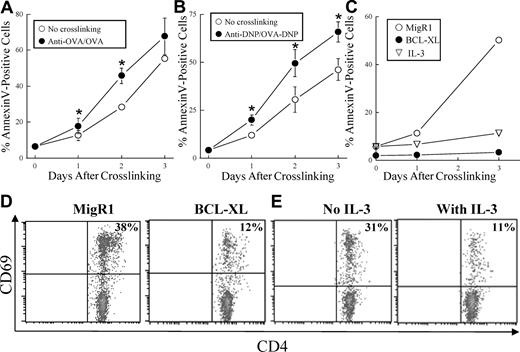Figure 6. FcϵRI activation enhances BMMC apoptosis and is required for optimal induction of T-cell activation. (A) Anti-OVA IgE or (B) anti-DNP IgE pretreated BMMCs were incubated with or without OVA (50 μg/mL) or DNP-OVA (0.5 μg/mL), respectively, for the indicated time periods. Data are represented as mean plus or minus SEM of 3 independent experiments (*P < .05 between the 2 groups by paired t test). (C) Anti-OVA IgE pretreated MigR1- (vector) or BCL-XL–transduced BMMCs were incubated with OVA (50 μg/mL) with or without IL-3 (10 ng/mL) for the indicated time periods. BMMC death was measured by examining the proportion of annexin V–positive cells by flow cytometry. (D) Anti-OVA IgE pretreated MigR1- (left) or BCL-XL–transduced (right) MHC class II−/− BMMCs were incubated for 48 hours with OVA (50 μg/mL), washed, and cocultured with unsorted splenocytes from OT-II mice. (E) Anti-OVA IgE pretreated MHC class II−/− BMMCs were incubated for 48 hours with OVA (50 μg/mL), washed, and cocultured with unsorted splenocytes from OT-II mice in the presence (right) or absence (left) of IL-3 (10 ng/mL). CD69 was detected 48 hours later on CD4+ T cells by flow cytometry. The number in the upper right corner indicates the percentage of CD69+CD4+ T cells.