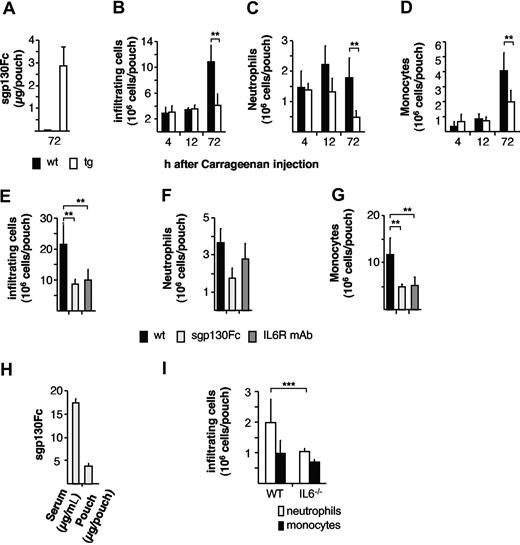Figure 4. Reduced cell infiltration in opt_sgp130Fc transgenic mice during acute inflammation. (A) Levels of transgenic sgp130Fc-protein in inflamed air pouches of opt_sgp130Fc transgenic mice. 72 hours after carrageenan stimulation, the levels of sgp130Fc-protein were assessed by ELISA. Data are represented as mean values plus or minus SD of 8 animals. (B) Quantitative flow cytometry analysis showing inflammatory cells (x106 per pouch) of homozygous opt_sgp130Fc transgenic and WT animals (wt) infiltrating the air pouch 4 hours, 12 hours, and 72 hours after injection of 1% carrageenan. (C) Neutrophils (x106/pouch) infiltrating the air pouch 4 hours, 12 hours, and 72 hours after injection of 1% carrageenan as measured by flow cytometry. (D) Monocytes (x106/pouch) infiltrating the air pouch 4 hours, 12 hours, and 72 hours after injection of 1% carrageenan as measured by flow cytometry. Four to 7 mice per group. Data are represented as mean values plus or minus SD (**P < .01; *P < .05). (E) Quantitative flow cytometry analysis showing inflammatory cells (x106/pouch) infiltrating the air pouch 72 hours after injection of 1% carrageenan. Comparison of WT animals treated with phosphate-buffered saline (PBS), 100 μg sgp130Fc, or 100 μg anti-IL6R mAb 6 hours before carrageenan injection. (F) Neutrophils (x106/pouch) infiltrating the air pouch 72 hours after injection of 1% carrageenan as measured by flow cytometry. Comparison of WT animals administered with PBS, sgp130Fc, or anti-IL6R mAb 6 hours before carrageenan injection. (G) Monocytes (x106/pouch) infiltrating the air pouch 72 hours after injection of 1% carrageenan as measured by flow cytometry. Comparison of WT animals administered with PBS, sgp130Fc, or anti-IL6R mAb 6 hours before carrageenan injection. (H) Levels of recombinant sgp130Fc-protein in serum (μg/mL) and in inflamed air pouches (μg/pouch) of WT mice 78 hours after administration of sgp130Fc. Sgp130Fc-protein levels were assessed by ELISA. Data are represented as mean values plus or minus SD of 5 animals (**P < .01). (I) Neutrophils and monocytes (x106/pouch) infiltrating the air pouch 12 hours after injection of 1% carrageenan as measured by flow cytometry of IL6−/− and WT animals. Data are represented as mean values plus or minus SD of 3 animals (***P < .015).