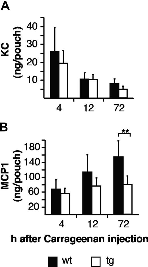 Figure 5. Reduced mononuclear cells attracting chemokines in opt_sgp130Fc transgenic mice. (A) Levels of endogenous KC in inflamed air pouches of opt_sgp130Fc transgenic and WT mice 4 hours, 12 hours, and 72 hours after carrageenan challenge. KC concentrations were determined by ELISA. (B) MCP1 in inflamed air pouches of opt_sgp130Fc transgenic and WT mice 4 hours, 12 hours, and 72 hours after carrageenan challenge. KC and MCP1 concentrations were determined by ELISA. Four to 7 mice per group. Data are represented as mean values plus or minus SD (**P < .01).