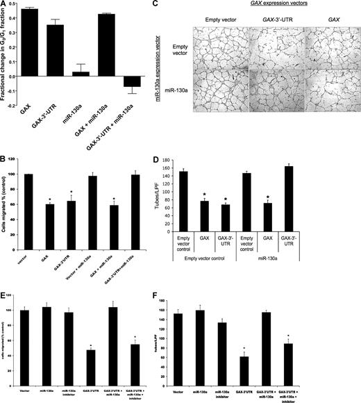 Figure 5. miR-130a antagonizes the antiangiogenic activity of GAX. (A) miR-130a antagonizes G0/G1 cell-cycle arrest attributable to GAX depending on the presence of its consensus sequences in the GAX 3′-UTR. HUVECs rendered quiescent by serum starvation overnight were transfected with empty vector or pcDNA-3.1-miR-130a and either pcDNA3.1-GAX or pcDNA3.1-GAX-3′-UTR as for the tube formation experiment and exposed to 10% FBS for 24 hours, after which cells were harvested, stained with PI, and subjected to flow cytometry to determine cell-cycle distribution. By definition, the change in the G0/G1 fraction for the empty vector control is 0, and the G0/G1 fraction for the vector control was 0.38 in the experiment displayed. Statistical significance was determined by one-way ANOVA, and both the miR-130a and GAX-3′-UTR + miR-130a groups showed a statistically significant (P < .01) change from the others. (B) miR-130a antagonizes the antimigration activity of GAX. HUVECs were cotransfected with either pcDNA3.1-GAX-3′-UTR or pcDNA3.1-GAX plus either pcDNA3.1-miR130a or pcDNA3.1 control empty vector and plated 18 hours later onto 8.0 μm pore size polycarbonate membranes in 24-well plates and allowed to attach, after which migration assays were carried out as described in “Migration and tube formation assays.” Cells were counted in 5 hpf per well (*P < .01 compared with empty vector control). (C) miR-130a antagonizes the antiangiogenic activity of GAX. HUVECs were cotransfected with either empty vector or pcDNA3.1-miR-130a and pcDNA3.1-GAX-3′-UTR or pcDNA3.1-GAX and then incubated overnight, after which tube formation assays were carried out. The ratio of cotransfection was 2:1 miR-130a:GAX expression construct. Tube counts were determined as described in “Migration and tube formation assays.” (D) Quantification of tube number per low-powered field (tubes/LPF; *P < .01). (E and F) An inhibitor of miR-130a reverses its antagonism of GAX activity. Experiments described in panels C and D were repeated, but with the addition of 100 nM miR-130a inhibitor. * indicates P < .01. Error bars represent SEM.
