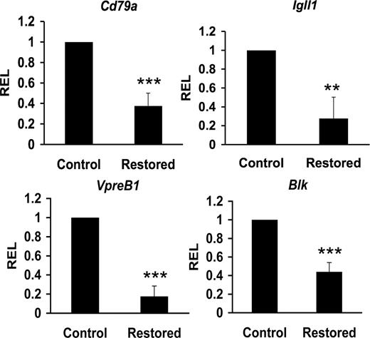 Figure 6. Cbfβ-SMMHC reduces expression of B lineage–specific factors. Relative expression levels of B lineage–specific transcripts Cd79a (mb-1), Igll1 (lambda5), VpreB1, and Blk in control or Cbfβ-SMMHC restored CLPs analyzed by qRT-PCR. Shown are mean plus or minus SD (n = 3; ** P < .01; *** P < .001) from 3 to 5 independent sorting experiments, each performed by duplicate.