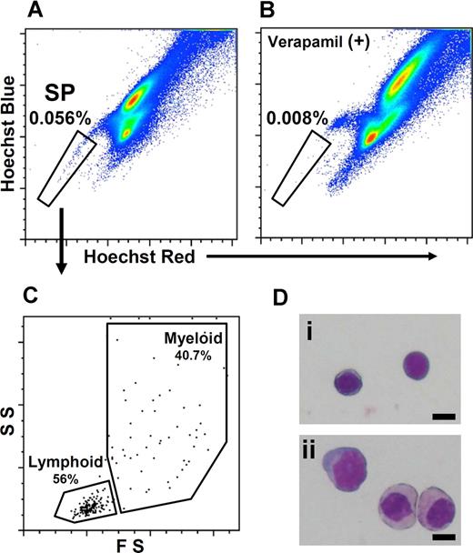 Figure 4. Flow cytometric analysis of zebrafish kidney hematopoietic cells. Hematopoietic cells from zebrafish body kidney were stained with Hoechst 33342 (Hoechst) and analyzed by flow cytometry. (A) Hoechst fluorescence (Hoechst blue vs Hoechst red) of kidney hematopoietic cells is shown. Gated region indicates SP population. (B) Hoechst fluorescence of kidney hematopoietic cells that were stained with Hoechst in the presence of 250 μM verapamil is shown. (C) Scatter profile of SP cells is shown. Lymphoid indicates the FSlow, SSlow fraction; myeloid, the FShigh fraction. (D) Morphologic analyses of lymphoid-SP (Lym-SP) (i) and myeloid-SP (Mye-SP) (ii) are shown (May-Grünwald Giemsa, scale bar = 5 μm).