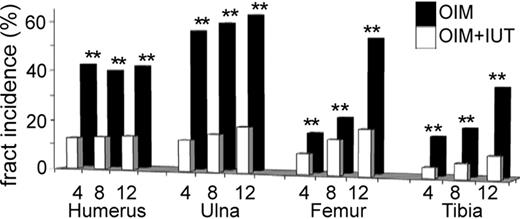 Figure 2. IUT reduces long bone fractures. Incidence of fractured bones in humerus, ulna, femur, and tibia of 4-week-old (n = 15), 8-week-old (n = 15), and 12-week-old (n = 6) OIM + IUT and OIM mice (n = 20 for each group). **P < .01.