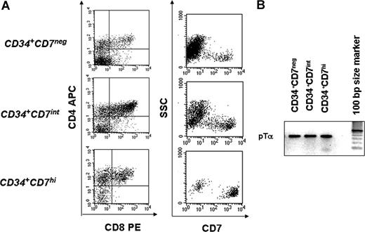 Figure 4. Immunophenotypic analysis of OP9-DL1 cocultures generated from CD34+lin−CD7−, CD34+lin−CD7intCD10+, and CD34+lin−CD7hi cells. Approximately 1500 cells from each population were isolated by FACS and cocultured with OP9/DL1 stroma and TPO, IL-7, and FL. Cells in culture were analyzed (A) by FACS at 2 to 4 weeks for expression of T-lineage markers (CD4, CD8) and CD7 and (B) by RT-PCR for pTα expression. Shown are data from one representative experiment of a total of 7 independent experiments for FACS analysis, and 2 independent experiments for RT-PCR, using different thymus samples.