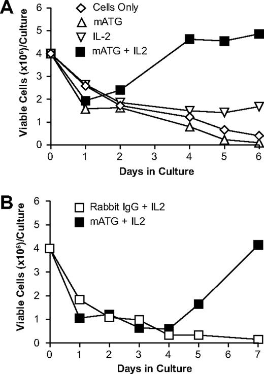 Figure 1. Culture of mouse spleen cells with mATG and IL-2 shows initial depletion at 1 day followed by a proliferative response after 4 days. Normal C57BL/6 mouse splenocytes were cultured alone, with 100 μg/mL mATG, or with rabbit IgG in the presence or absence of 200 U/mL IL-2, and total viable cells were enumerated at various times following initiation of culture as described in “Methods.” (A) Viable cell numbers obtained 1, 2, 4, 5, and 6 days following culture initiation of splenocytes with or without mATG in the presence or absence of exogenous IL-2. (B) Viable cell numbers obtained 1, 2, 3, 4, 5, and 7 days following culture initiation of splenocytes with either mATG or rabbit IgG, both in the presence of exogenous IL-2. Data shown are representative of at least 6 separate experiments.