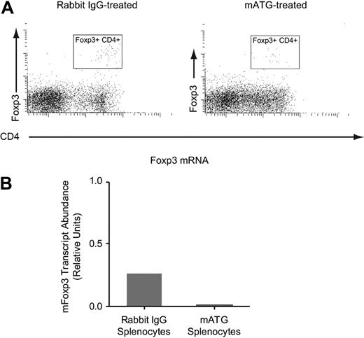 Figure 4. mATG does not induce Foxp3 expression in vitro. C57BL/6 mouse splenocytes were cultured with 100 μg/mL mATG or rabbit IgG in the presence of 200 U/mL IL-2, and 5 days following initiation of culture cells were evaluated for Foxp3 expression by flow cytometric analysis (A) or quantitative RT-PCR (B) as described in “Methods.” Foxp3 mRNA levels were normalized to CD3 mRNA in each sample. The flow cytometric data are representative of at least 6 experiments and the mRNA analysis was performed once.