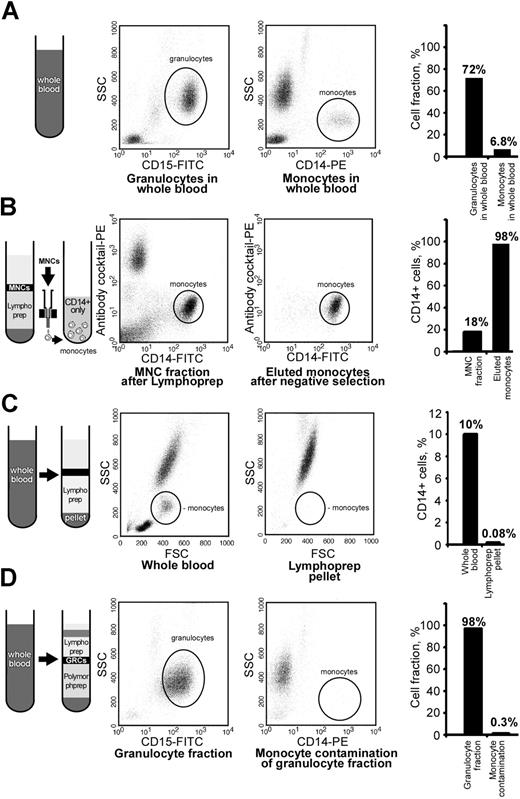 Figure 3. High purity of leukocyte fractions was achieved by immunologic cell separations. The purity of all cell fractions was assessed by flow cytometry using side-forward scatter and antigenic characteristics. The fraction of granulocytes in the preisolation reference control whole blood was 72% (A). SSC indicates side scatter channel. (B) Shown is the enrichment of monocytes from 18% to 98% in the Lymphoprep MNC fraction by removal of cells positive for CD3, CD7, CD16, CD19, CD56, CD123, and CD235A. Monocytes were depleted down to 0.08% in the Lymphoprep RBC pellet (C). The purity of granulocyte fraction was 98% after removal of CD14-positive cells from the lower Polymorphprep layer, and the monocyte contamination of granulocyte preparation was only 0.3% (D). Flow cytometric histograms and the plotted mean percentage of analyzed cells are presented.