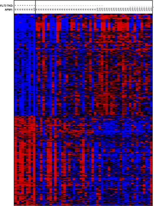 Figure 2. Heat map of the FLT3-TKD–associated gene signature. Expression values of the 333 probe sets in the signature are represented by color, with blue indicating expression below and red expression above the median value for the given probe set. For display purposes, the expression values of the probe sets were centered so that each probe set has the same median expression value. Rows represent probe sets (Table S2, identification of probe sets) and columns represent patients. Patients are grouped by FLT3-TKD (+) and FLT3-WT (−) status. NPM1 status is indicated as mutation positive (M) or wild-type (WT).