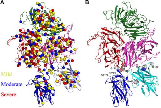 Figure 5. Location of hemophilia A–associated missense mutations across the r-fVIII structure. (A) The disease phenotype/symptom designations of “mild,” “moderate,” and “severe” are taken from the HamSters database48 and correspond to plasma fVIIIa activity levels of 6% to 30%, 1% to 5% and less than 1%, respectively. (B) The presence of mutations in the interfaces of the C domains with each other and with the A3 domain.
