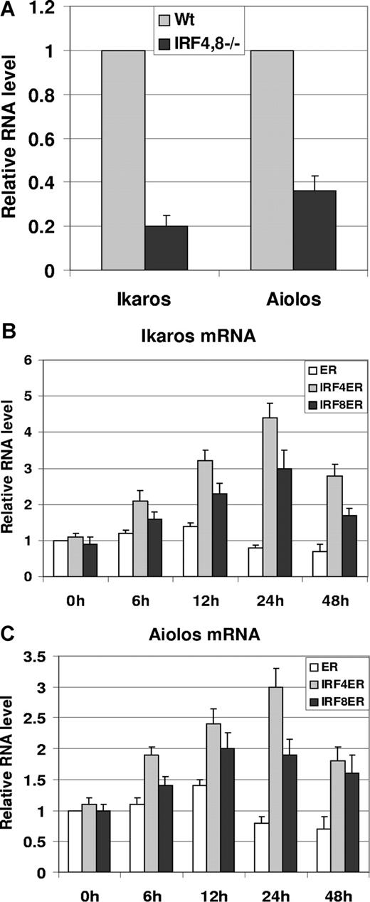 Figure 2. IRF4,8 induce the expression of Ikaros and Aiolos in pre-B cells. (A) Expression of Ikaros and Aiolos is defective in IRF4,8−/− pre-B cells. Bone marrow cells were isolated from IRF4,8−/− and wild-type control mice. Cells were stained with antibodies against B220, CD43, IgM, and the pre-B cells (B220+, CD43low/−, and IgM−) were isolated by sorting. The relative expression of Ikaros and Aiolos was measured in wild-type and IRF4,8−/− pre-B cells by real-time PCR. The values in the control pre-B cells were arbitrarily set as 1. (B,C) Total RNA isolated from ER-, IRF4ER-, and IRF8ER-infected cells described in Figure 1C and D were subjected to real-time analysis to measure the expression of Ikaros (Figure 1C) and Aiolos (Figure 1D). The values are average and SD of 3 independent experiments.