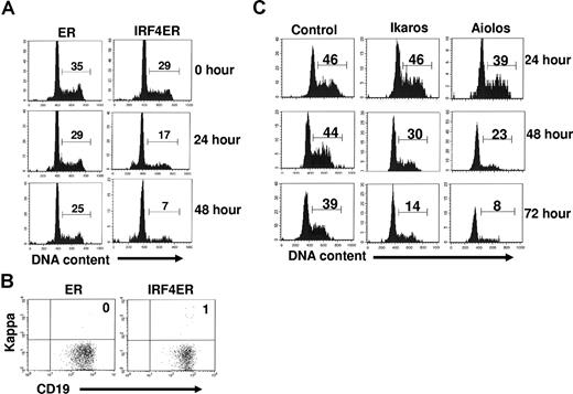 Figure 4. Reconstituting expression of IRF4, Ikaros, or Aiolos is sufficient to inhibit the proliferation of IRF4,8−/− pre-B cells. (A) IRF4,8−/− pre-B cells were infected with virus expressing ER and IRF4ER. At 24 hours after infection, tamoxifen (1μM) was added to activate IRF4. The cell-cycle status was examined at different time points by staining the cells with Hoechst dye (10 μg/mL). (B) The effect of IRF4 on pre–B-cell proliferation is uncoupled from pre–B-cell differentiation. After 48 hours of treatment with Tamoxifen, the infected cells were stained with anti-kappa and anti-CD19 antibodies and analyzed by FACS. (C) IRF4,8−/− pre-B cells were infected with control, Ikaros, and Aiolos. The cell-cycle status of the infected cells was analyzed daily for 3 days. Cell-cycle status of the GFPhi cells was shown, and the numbers represent percentages of the cycling cells. The result is a representative of 3 independent experiments.
