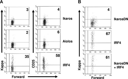 Figure 6. IkarosDN fails to antagonize the effect of IRF4 on light chain rearrangement and transcription in pre-B cells. (A) IRF4,8−/− pre-B cells were cultivated in Opti-MEM medium containing 5 ng/mL IL-7 and infected with virus expressing IRF4, Ikaros, and Aiolos. At 24 hours after infection, the infected cells were washed and replated on top of an irradiated S17 stromal layer in the absence of IL7 for another 36 hours. The cells were then stained with antibodies against kappa and CD25 and analyzed by FACS. The expression of kappa and CD25 in the GFPhi cells are shown. (B) IRF4,8−/− pre-B cells were coinfected with IRF4 (YFP) and IkarosDN (GFP) as described in Figure 5. At 24 hours after infection, IL-7 was removed from the culture media. After another 72 hours, the cells were stained with anti-kappa antibody and Hoechst dye and analyzed by FACS. The infected cells were analyzed using strategies described in Figure 5. The result is a representative of 3 independent experiments. Numbers in quadrants represent percentages of gated cells.