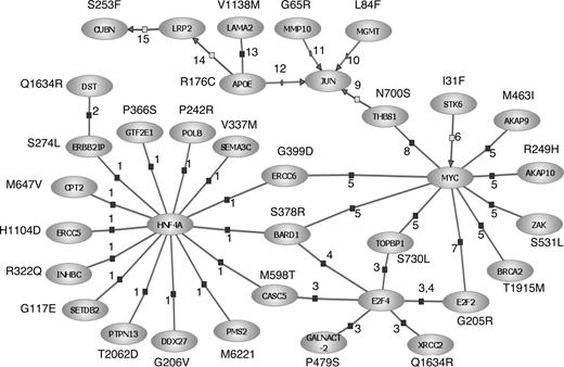 Figure 7. Interrelationships between genes involved in the DNA damage-response, immune regulation, and cell-signaling pathways for SNPs associated with PFS in CLL. Interactions were established using Pathway Assist software and are color-coded: blue indicates expression; gray, regulation; and red, protein binding. Supporting publications are indicated with the corresponding National Center for Biotechnology Information (NCBI) Entrez PubMed ID in parentheses. 1, binding (14988562); 2, binding (11375975); 3, binding (15525513); 4, binding (11799067); 5, binding (12808131); 6, regulation (14744757); 7, binding (11279041); 8, binding (15735755); 9, regulation (10490955); 10, promoter binding (10942771); 11, promoter binding (1480019); 12, promoter binding (8018731); 13, binding (7498414); 14, regulation (10487844); and 15, regulation (11595644).