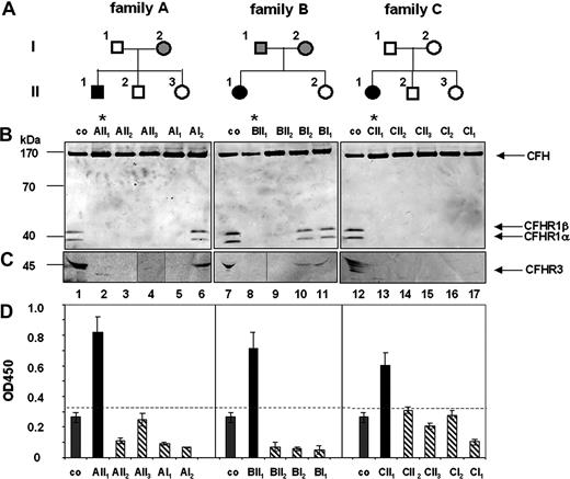 Figure 1. Family analysis: deficiency of CFHR1 and CFHR3 in aHUS patients and their family members. (A) A pedigree is shown for each family. Black boxes indicate patients; open symbols, family members with homozygous CFHR1 and CFHR3 deletion; and gray symbols, individuals with heterozygous CFHR1 and CFHR3 deficiency. (B) Plasma of the patients or their healthy family members were separated by sodium dodecyl sulfate–polyacrylamide gel electrophoresis (SDS-PAGE), transferred to a membrane, and analyzed by Western blotting using a mAB that identifies the conserved C-termini of CFH (150 kDa) and the 2 differently glycosylated forms CFHR1α and CFHR1β) (37 and 42 kDa). For detection of CFHR3, antiserum reacting with different glycosylated forms of CFHR3 (45 kDa, multiple bands) was used. Western blot analysis of plasma derived from individual family members demonstrated deficiency of CFHR1 in the aHUS patients (* lanes 2, 8, 13) and also in healthy relatives (lanes 3-5,9,14-17). CFHR1α and CFHR1β are detected in plasma of a healthy control (lanes 1,7,12). CFH is detected in all plasma samples. (C) Complete deficiency of CFHR3 is detected in the 3 aHUS patients (lanes 2,8,13) and several relatives (lanes 3-5,9,14-17), but CFHR3 is observed in the plasma of a healthy volunteer (lanes 1,7,12) and of heterozygous relatives (lanes 6,10,11). The band at 30 kDa in lane 2 is unspecific. (D) CFH autoantibody levels were detected by ELISA. CFH autoantibodies (black bars) are present in serum of the patients (AII1, BII1, and CII1) but not of their relatives (dashed bars) and in plasma derived from controls (co, gray bars). The dotted line represents the background level (OD450 − 0.35), that is, the highest absorbancy of plasma samples derived from 100 control individuals (Document S1).