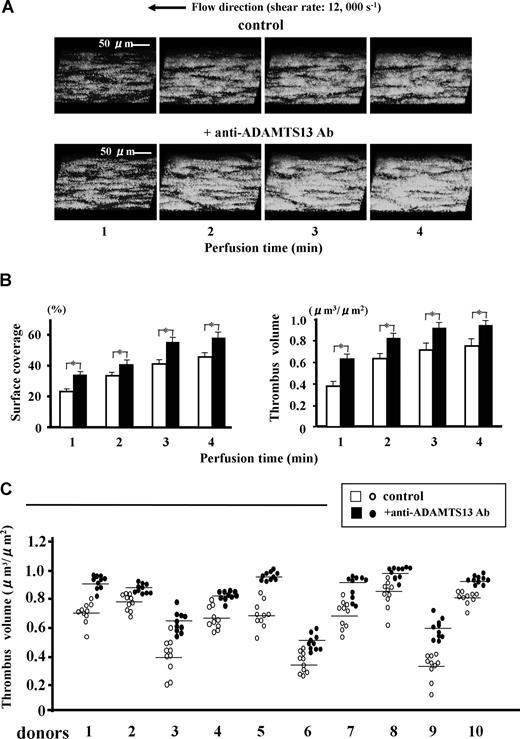 Figure 1. Effects of a function-blocking antiADAMTS13 monoclonal antibody (A10) on mural thrombus generation under very high shear rate conditions. Whole blood from healthy volunteers containing DiOC6 (1 μM)-labeled platelets, anticoagulated with argatroban, was perfused over a type I collagen-coated glass surface under very high shear rate (12 000 s−1) with anti-ADAMTS13 antibody A10 or with control mouse IgG (each 20 μg/mL). (A) Time-course changes of 3-dimensional images of thrombi (original magnification, ×600), which were constructed by the image-analyzing system of confocal laser scanning microscopy (CLSM) based on successive horizontal slices at identical portions, are representative of 10-pair flow experiments using blood from 10 independent donors. (B) Statistical analyses corresponding to the above images; bars represent mean (+ SD) surface coverage or total thrombus volume in 10 areas (each 133 × 100 μm) randomly selected in each perfusion using a single donor blood (donor number 1 in panel C). Note that thrombus generation is significantly (*; P < .01) accelerated in the presence of the anti-ADAMTS13 antibody. (C) Thrombus volume at 3 minutes' perfusion in 10-pair flow experiments using 10 independent donors; data points represent values of 10 areas randomly selected in each perfusion with (●) or without (○) anti-ADAMTS13 antibody, and transverse lines indicate mean values for each group. Note also that thrombus volumes generated in the presence of anti-ADAMTS13 antibody are significantly (P < .01; asterisks not included in the figure) greater than control thrombi in all 10-pair experiments.