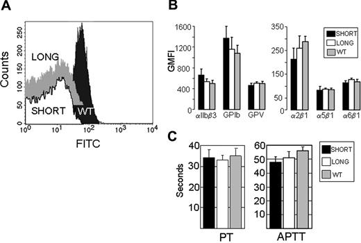 Figure 1. Characterization of Gp6 −/− mice. (A) Platelet surface expression of GPVI. Platelet surface expression of GPVI was measured by flow cytometry of whole blood using monoclonal rat anti-mouse GPVI (6.E10). Representative histograms depict platelets from WT mice (dark gray peak), Gp6−/− SHORT mice (white peak), or Gp6−/− LONG mice (gray peak). The Gp6−/− LONG peak is shifted vertically upward to enable it to be distinguished from the virtually identical Gp6−/− SHORT peak. Values on the abscissa represent the FITC fluorescence intensity. These results are typical of measurements performed on more than 30 mice with each phenotype. (B) Platelet surface expression of other relevant receptors. In flow cytometry, rat monoclonal antibodies were used to quantitate integrins αIIbβ3, α2β1, α5β1, and α6β1, as well as platelet GPIb and GPV. In each case, the GMFI (mean ± SD for 5 mice) is depicted. None of the differences were statistically significant (P > .05). (C) Blood coagulation assays. Plasmas from 5 WT, 5 Gp6−/− LONG, and 5 Gp6−/− SHORT mice were individually analyzed, and the mean plus or minus SD for each group is depicted. To increase the sensitivity, the prothrombin time (PT) assay (left panel) was carried out with a 1/300 dilution of tissue factor reagent. The right panel depicts the results of the activated partial thromboplastin time (APTT) assay. The differences in PT or APTT between Gp6−/− LONG and Gp6−/− SHORT mice were not statistically different (P > .05).