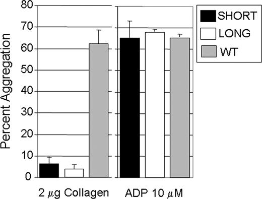 Figure 4. In vitro platelet aggregation. For these assays, blood was pooled from 6 to 8 male mice. Platelet aggregation was induced by addition of collagen (2 μg/mL) (left panel) or 10 μmol/L ADP (right panel). When exposed to ADP, no difference in the extent of aggregation was observed (right panel). When stimulated with collagen (2 μg/mL) (left panel), aggregation of platelets from Gp6−/− SHORT mice (17 ± 5%; mean ± SD) or Gp6−/− LONG mice (14 ± 2%) was comparable and significantly lower than that seen in wild-type littermates (62 ± 7%; P < .01 in both cases). The mean (± SD) for 3 separate assays is shown.
