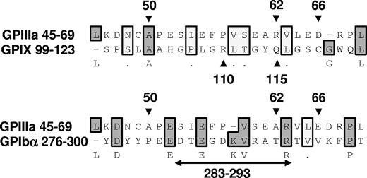 Figure 7. Alignment of 25 amino acid sequences known to contain binding sites for quinine-dependent antibodies using the Clustal W algorithm.29,30 GPIIIa residues 50, 62, and 66,12 GPIX residues 110 and 115,28 and GPIb alpha residues 283 to 29327 are known to be critical for binding of selected groups of quinine-dependent antibodies to the respective glycoproteins. Amino acids shaded darkly are identical; those shaded lightly are chemically similar. There is no significant homology between GPIIIa 45 to 69 and GPIX 99 to 123 (alignment score, −26). However, the alignment score between GPIIIa 45 to 69 and GPIb alpha 276 to 300 is 47, approximately 30% of the maximum score possible (2 sequences identical).