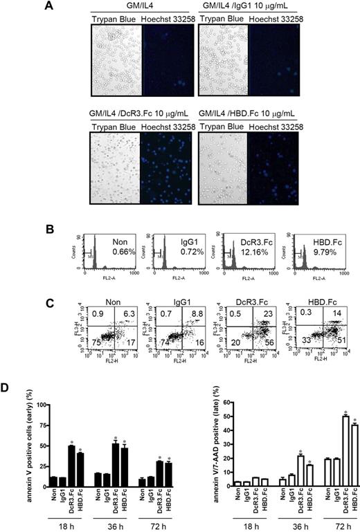 Figure 1. DcR3-induced cell death is via the HBD. (A) Morphology of DcR3.Fc- or HBD.Fc-treated DCs. A total of 5 × 105 CD14+ monocytes were incubated with GM-CSF (200 ng/mL) and IL-4 (10 ng/mL) in the presence of 10 μg/mL Fc-fusion proteins or IgG1 for 6 days to differentiate them into DCs. Apoptotic cells were identified by adding trypan blue/PBS (0.1%) and Hoechst 33258 (1μg/mL) for 3 minutes, and observing them under phase-contrast and fluorescence microscopy, respectively. (B,C) Analysis of apoptotic cells by sub-G1 peak (B) and annexin V–PE (FL-2) and 7-AAD (FL-3) staining (C). 5 × 105 monocyte-derived DCs (moDCs) were cultured in the presence of 10 μg/mL Fc-fusion proteins or IgG1 during the differentiation to DCs, followed by incubation with PI (0.01 mg/mL) or annexin V–PE/7-AAD (after 36 hours of Fc-fusion protein treatment), and analyzed by flow cytometry. The numbers in the quadrants represent the percentage from total cell population. (D) Kinetics of dead and apoptotic cells analyzed by annexin V–PE/7-AAD staining. *P < .05 compared with control groups at each time point. Data are representative of 3 independent experiments. Error bars represent SD of the mean..
