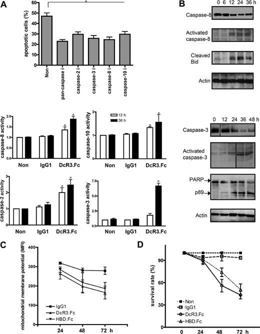 Figure 2. Caspase activities and mitochondrial functions in DcR3.Fc-treated DCs. (A) Top panel shows effect of caspase inhibitor on DcR3-mediated apoptosis. CD14+ monocytes (5 × 105) were pretreated with caspase inhibitors (general caspase, 50 μM Z-VAD-FMK; caspase-2, 50 μM Z-VDVAD-FMK; caspase-3, 50 μM Z-DEVD-FMK; caspase-8, 50 μM Z-IETD-FMK; and caspase-10, 50 μM Z-AEVD-FMK) for 1 hour before incubation with GM-CSF (200 ng/mL) and IL-4 (10 ng/mL) in the presence of 10 μg/mL Fc-fusion proteins or IgG1. Cell viability was determined by incubation with annexin V–PE/7-AAD and analyzed by flow cytometry. *P < .05 compared with the control group. Bottom panels show determination of caspase activities using fluorescent substrates. Caspase activities in cell lysates were determined by incubation with fluorescent probes MCA-IETD.APK (DNP), MCA-AEVD.APK (DNP), MCA-VDVAD.APK (DNP), and MCA-DEVD.APK (DNP) to measure the activities of caspase-8 (top left), caspase-10 (top right), caspase-2 (bottom left) and caspase-3 (bottom right), respectively. *P < .05 compared with nontreated group. (B) Activation of caspases in DcR3.Fc-treated DCs. Cells were incubated with DcR3.Fc (10 μg/mL) for different time intervals before harvesting for Western blot analysis. Blots were probed with respective mAb to detect activated caspase-3 or caspase-8 and cleaved Bid or PARP. Vertical lines have been inserted to indicate a repositioned gel lane. (C) Determination of mitochondria membrane potential by incubation of DcR3-treated DCs with JC-1 (10 μg/mL) for 30 minutes before flow cytometric analysis (FL2 MFI). (D) Analysis of apoptotic cells by MTT at different time intervals. A total of 5 × 104 monocytes were incubated with GM-CSF (200 ng/mL) and IL-4 (10 ng/mL) in the presence of (10 μg/mL) Fc-fusion proteins or IgG1, followed by addition of MTT for 4 hours and SDS for another 16 hours. MTT formazan was measured as described in “Methods.” Error bars represent SD of the mean.